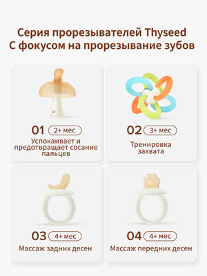 прорезыватель для зубов, от 3+ мес