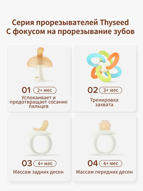 прорезыватель для зубов для новорожденных, от 2+ мес